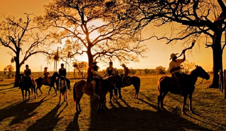 O destaque do estande de Mato Grosso do Sul será o espaço de capacitação exclusivo onde serão realizadas 5 capacitações diárias, de 30 minutos cada