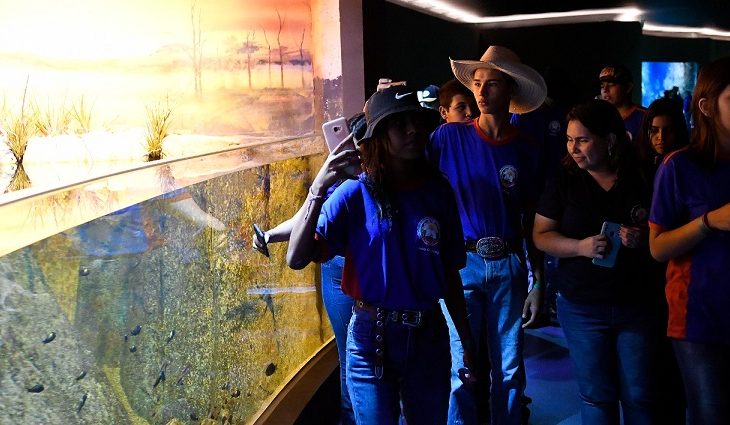 Segundo a diretora da instituição de ensino, Maria Kátia Miranda, o contato dos jovens com a diversidade de peixes do Bioparque enriquece a prática do projeto e agrega conhecimento