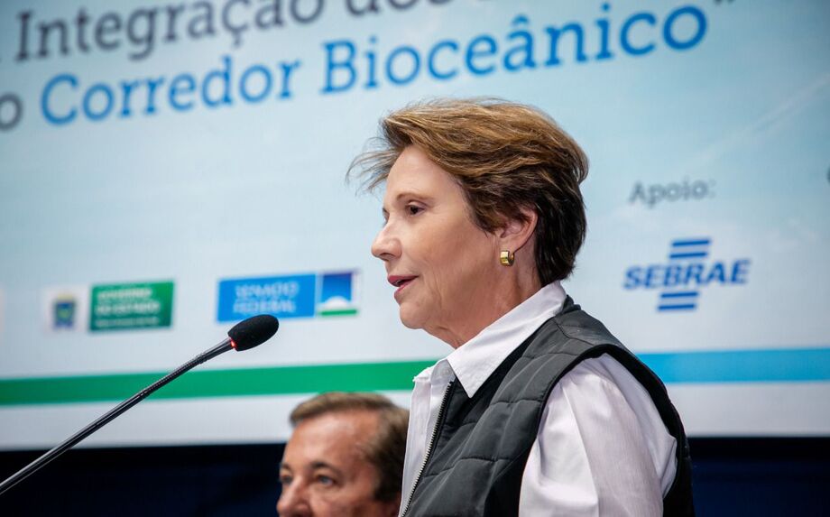Ex-ministra da Agricultura, Tereza Cristina