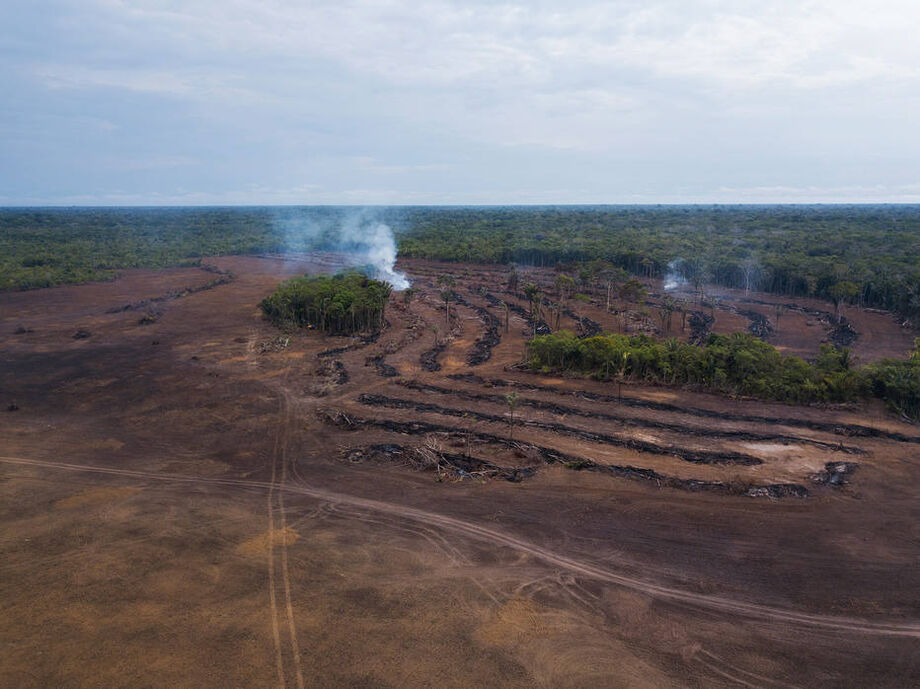 Combater desmatamento, como na Amazônia, é uma das principais tarefas para conter crise climática