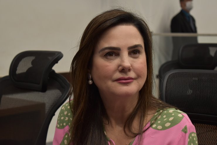 Premiação foi instituída por proposição da deputada e líder do Governo na Casa de Leis, Mara Caseiro