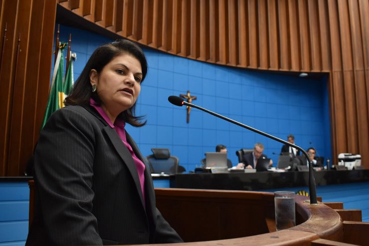 Defensora pública Patrícia Cozzolino