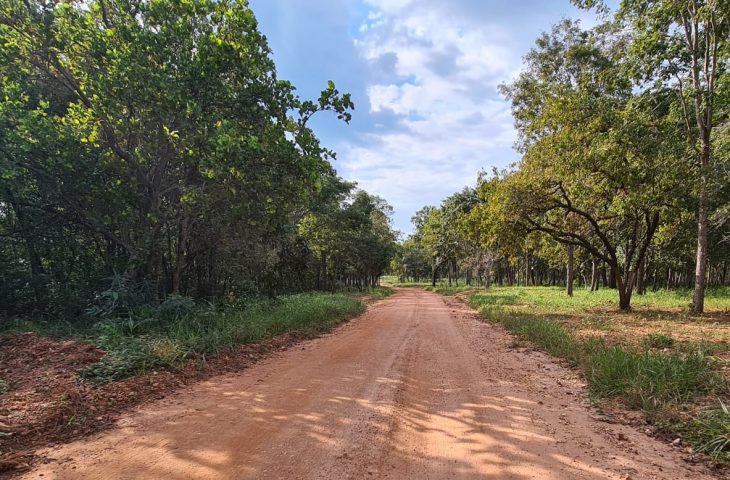 Estrada de Bonito