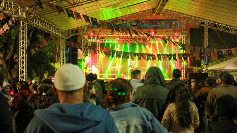 Sertanejo, pagode e forró agitam o público durante os dias de festa.