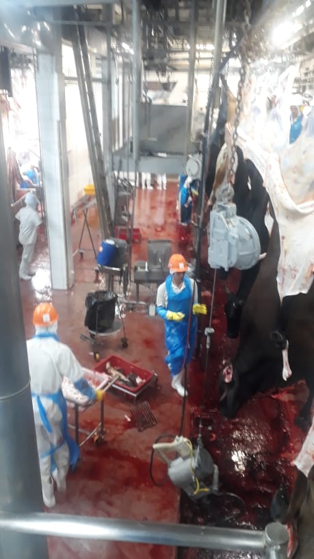 Além de prejudicar a saúde dos trabalhadores, a carne e demais produtos desses setores também podem ter sua qualidade comprometida