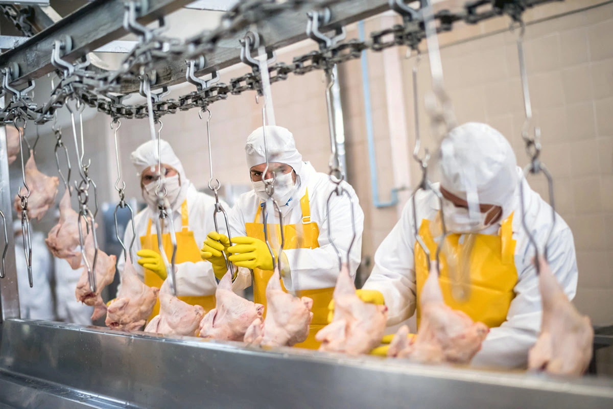 O segmento industrial que apresenta maior participação nas receitas de exportação foi Complexo frigorífico.