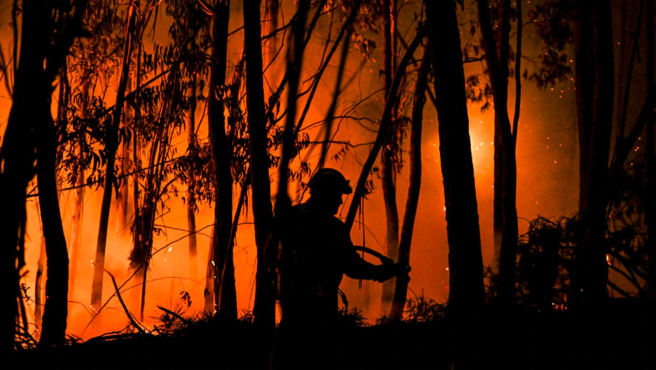 Incêndio florestal nos Casais do Vento, em Alvaiazere, em Portugal
