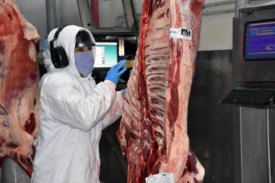 Indústria de carnes