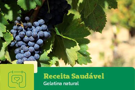 Uma excelente alternativa para isto é a gelatina, já que pode ser feita com ingredientes naturais, como um suco de uva integral