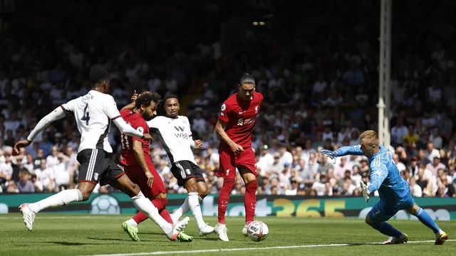 Fulham 2-2 Liverpool