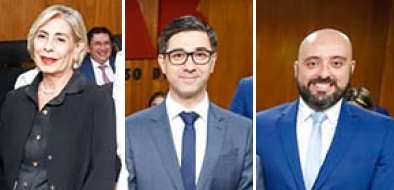 Regina Iara Ayub Bezerra, Cesar Palumbo Fernandes e Diego Augusto Granzotto de Pinho.