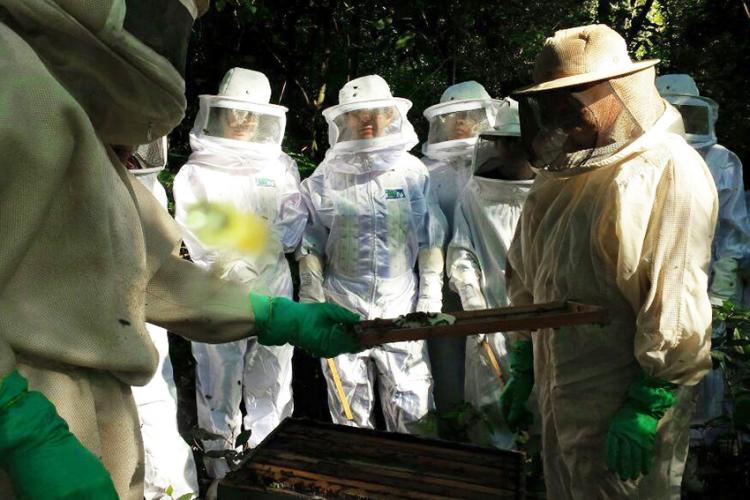 O treinamento é voltado aos produtores e trabalhadores rurais com objetivo de profissionalizar a atividade, fomentando o empreendedorismo local.