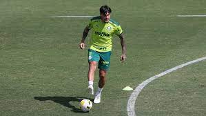 Líder com folga no Brasileirão, o Palmeiras contabiliza 48 pontos e tem nove de vantagem sobre o time carioca, que é o atual segundo colocado
