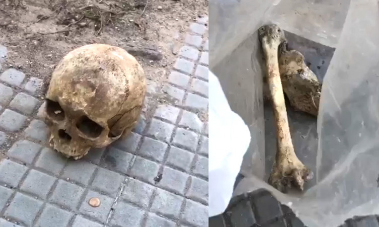 Ossada humana