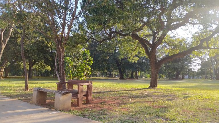 Bairro Carandá sediará a maior feira cultural do estado no Bosque da Paz