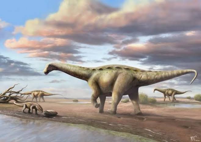 Dinossauro anão foi descoberto