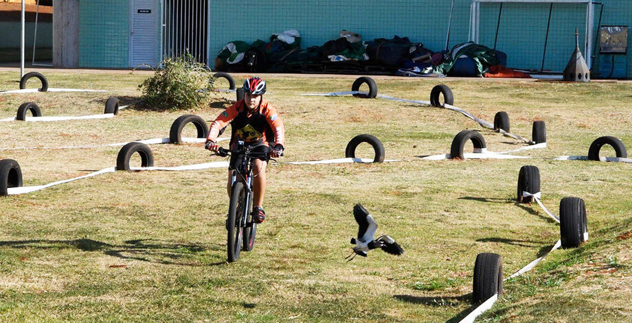 Aulas de ciclismo