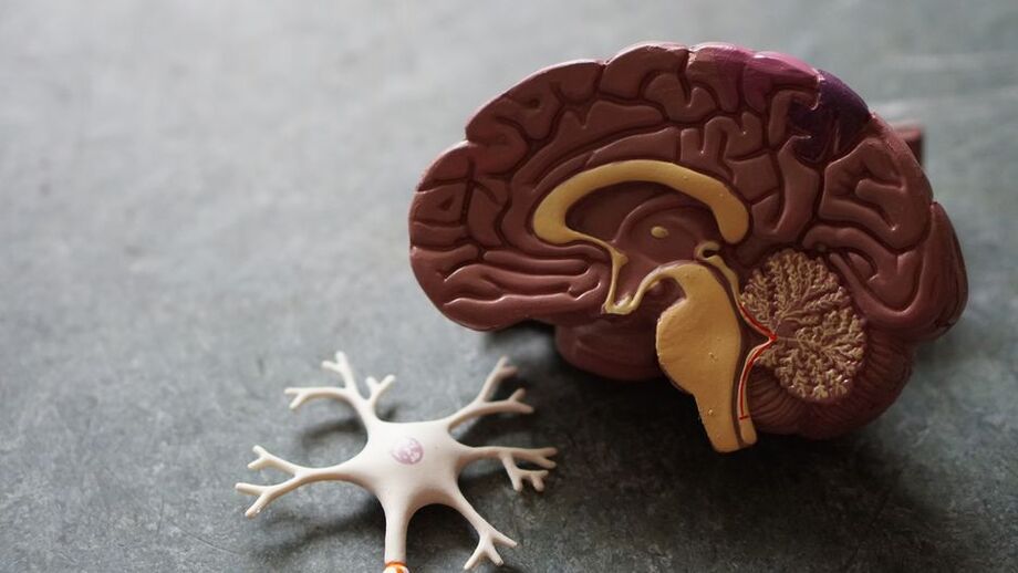 Doença causa perda de conexão e morte de neurônios