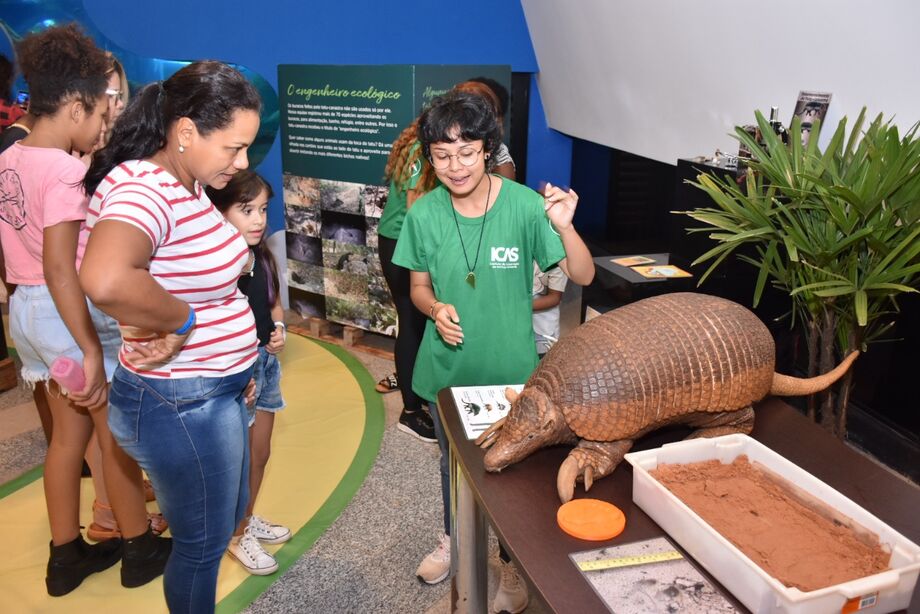 Tatu Canastra em exposição