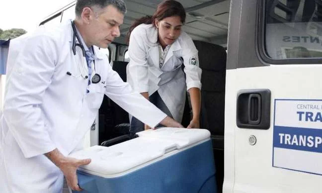 Plano de saúde terá de cobrir transplantes de fígado; veja mais procedimentos que serão obrigatórios