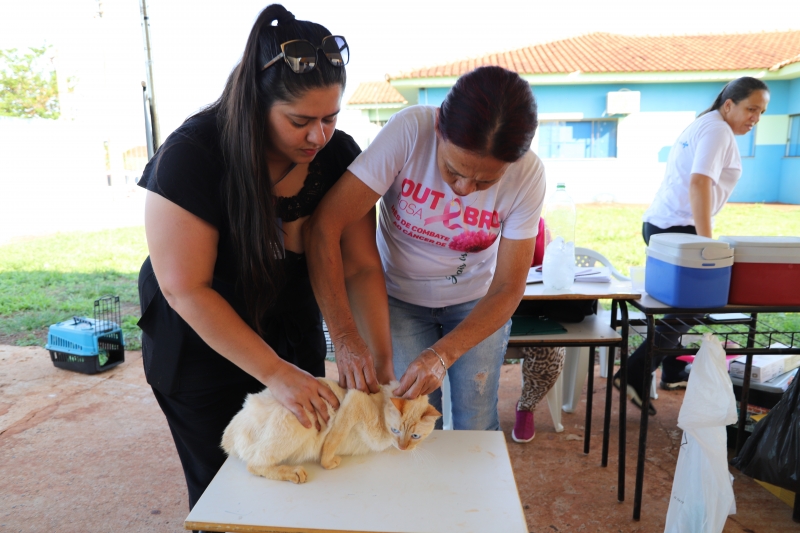 Vacinação em Maracaju