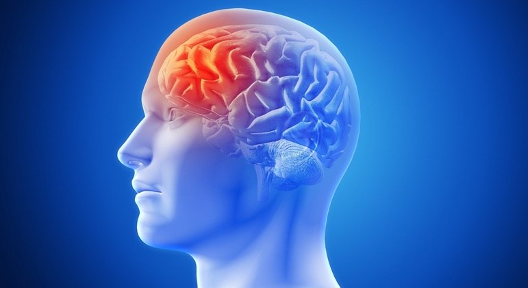 Pandemia contribuiu para aumento do número de casos