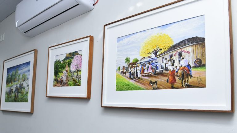 Com belezas de MS, Lelo é o artista selecionado para este mês no Arte no Paço
