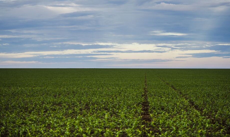 O volume cresceu 38,9% e os preços, 16,1%. As importações de produtos agropecuários somaram US$ 1,43 bilhão em outubro, 2% acima de outubro de 2021