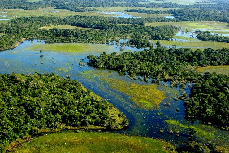 Vista aérea do Pantanal, a maior planície inundada do mundo; bioma é reconhecido pela Unesco como Patrimônio da Humanidade