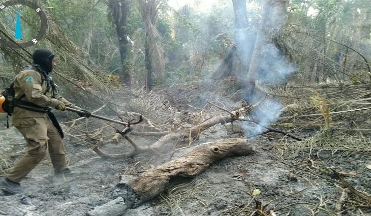 Queimadas no Pantanal