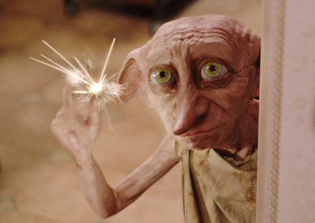 Harry Potter: meias deixadas em praia para Dobby causam problema