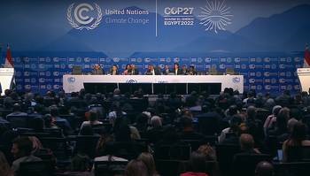 COP-27