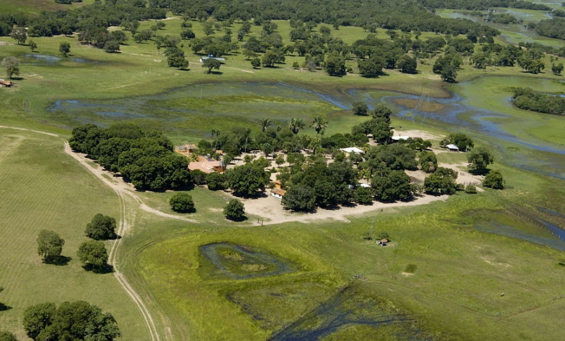 Pantanal