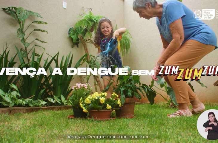 Com o slogan vença a dengue sem zum zum zum a campanha vai integrar várias áreas do Governo do Estado e será veiculada na imprensa com o intuito de conscientizar a população neste momento
