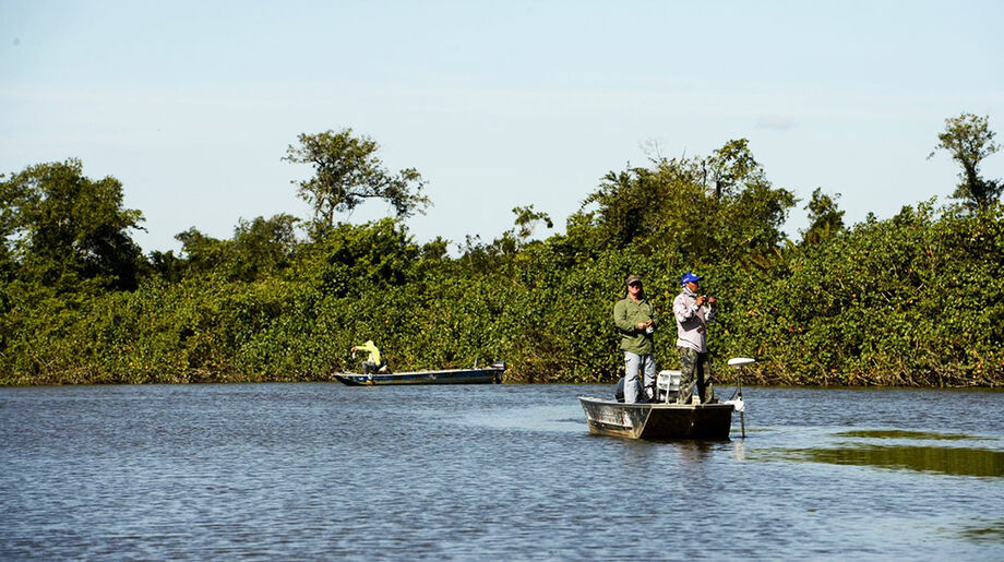 Pesca