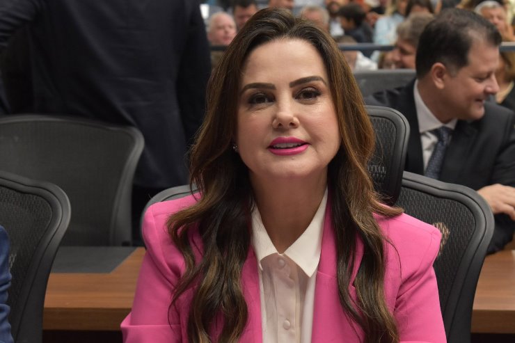 Deputada Mara Caseiro, em sessão nesta manhã; parlamentar é a autora do projeto