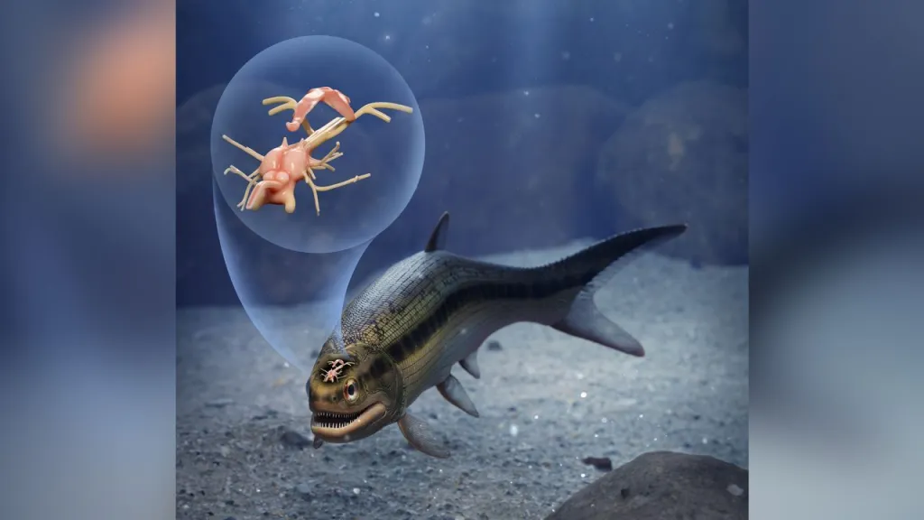 As imagens tomográficas do cérebro estão ajudando a desvendar a sequencia da evolução neural em uma das mais diversas linhagens de vertebrados da atualidade