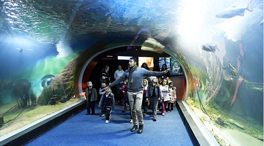 Bioparque