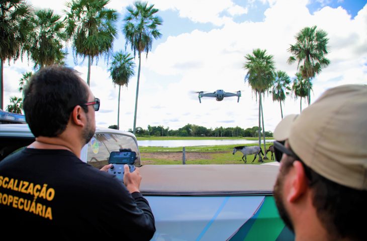Com a visão aérea, é possível identificar aves silvestres caídas ou mesmo com outros sintomas da influenza aviária.