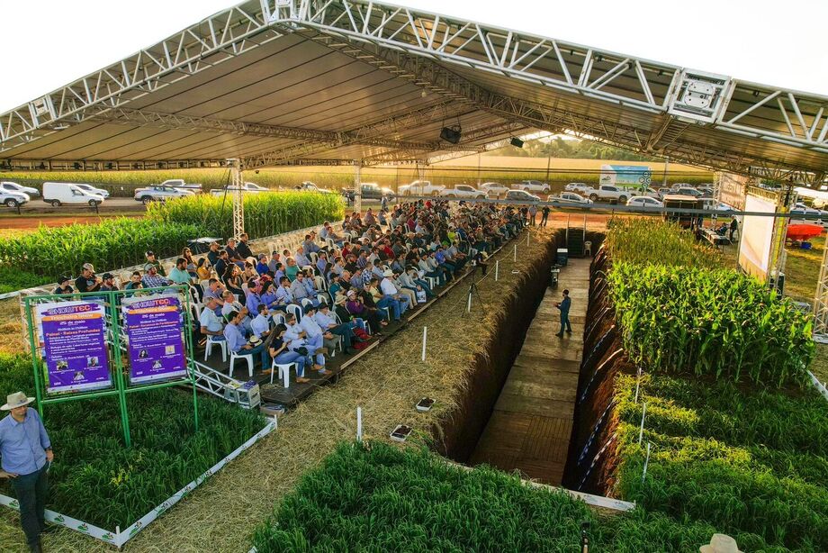 Showtec em Maracaju