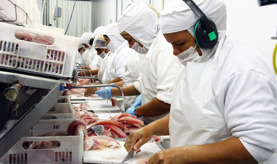 Tilápia e derivados de cacau estão entre os produtos mais afetados pela nova tarifa de importação imposta pelos Estados Unidos