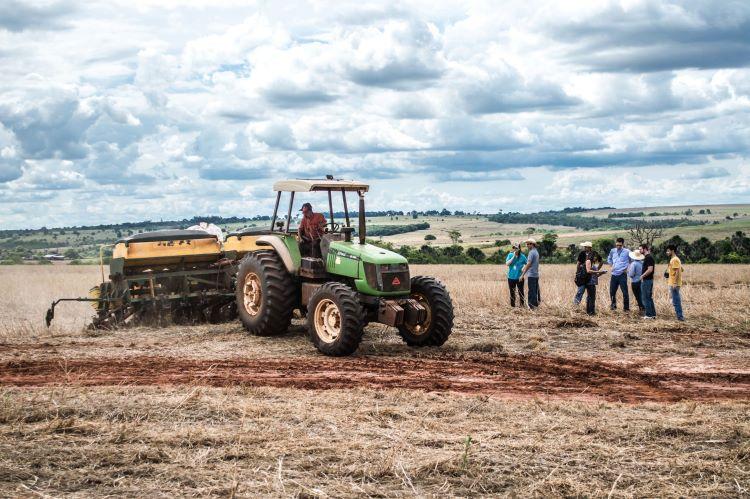 Empregos na agropecuária de MS crescem 63% em um ano