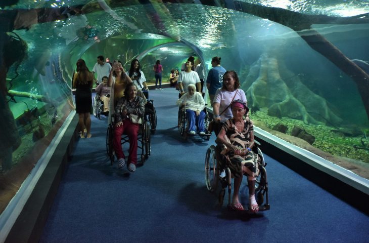 Idosos prestigiam o Bioparque Pantanal