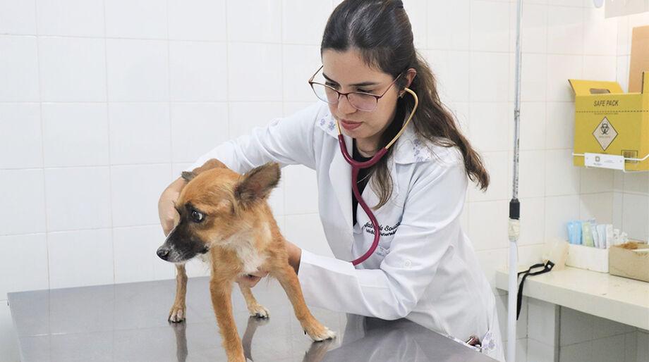 Veterinária da UFMS