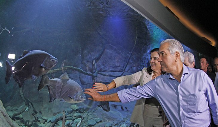 Equipe que concluiu a obra recebe homenagem do ex-governador Reinaldo Azambuja