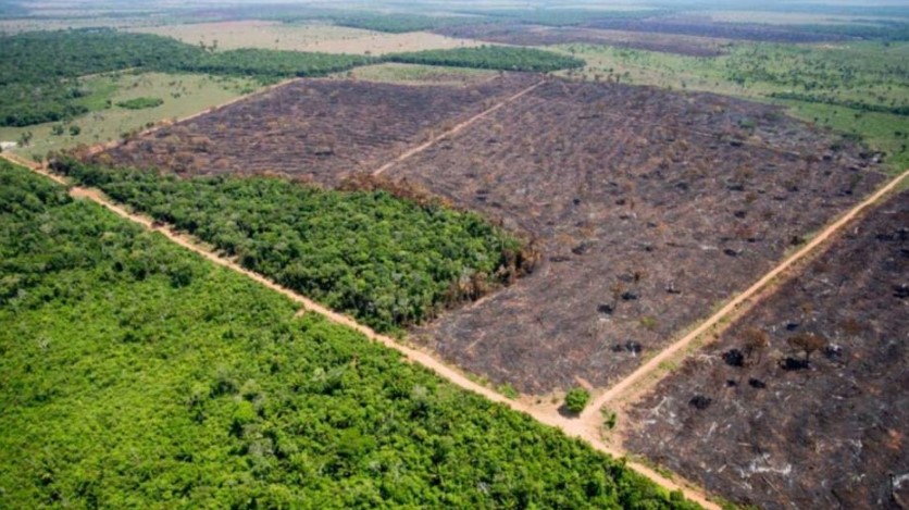 Desmatamento na Amazônia