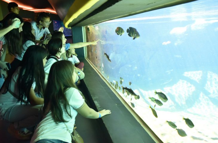 Visitas escolares retornam ao Bioparque Pantanal e educação ambiental é reforçada com estudantes