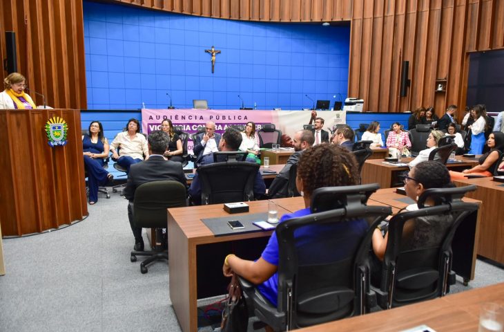 Ministra das Mulheres, Aparecida Gonçalves fala durante audiência