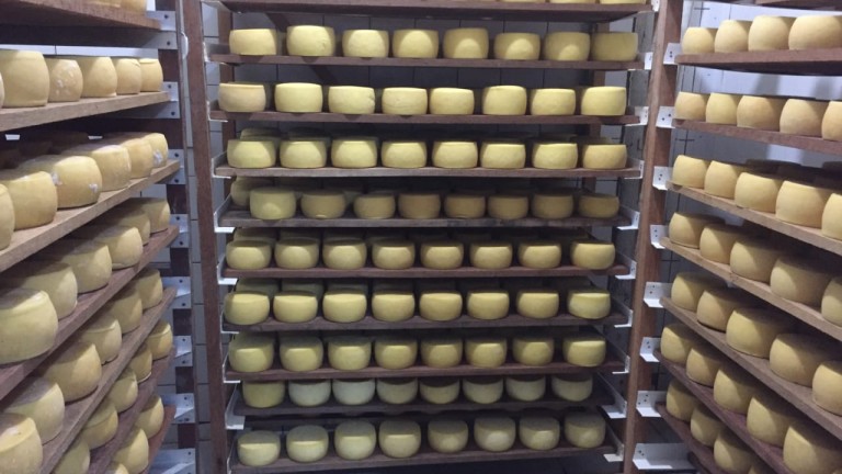 A 6ª edição da tradicional Festa do Queijo já tem data confirmada: 13 de maio de 2023