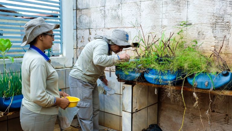Prefeitura inicia mutirão de combate à dengue no Jardim Noroeste